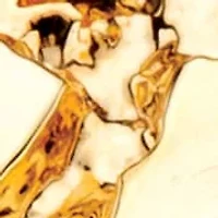 Men's Nugget-Style Yellow Gold-Plated Masonic Insignia Ring