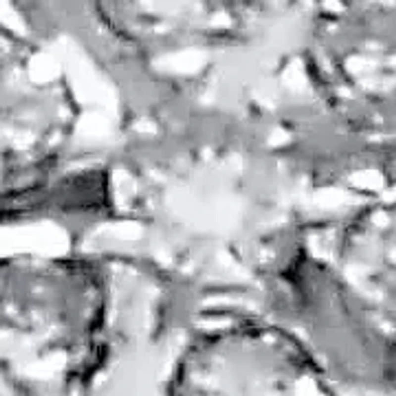 .24 TCW Diamond Sterling Silver Tutone Halo Engagement Ring