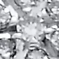 .24 TCW Diamond Sterling Silver Tutone Halo Engagement Ring