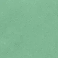 Genuine Green Jade Polished Ring