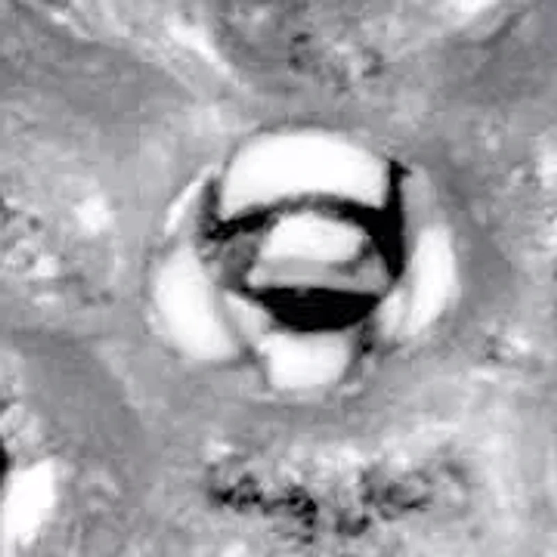 Pave Diamond Accent Cluster Ring Gold-Plated Sterling Silver