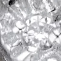 1/4 Cttw. Round Diamond 18k Gold-plated Sterling Silver Cluster Ring