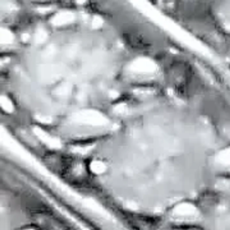 .25 TCW Diamond Sterling Silver Infinity Ring