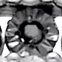 .25 TCW Black and White Diamond Sterling Silver Three-Row Anniversary Band