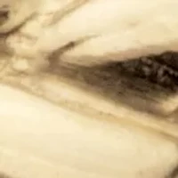 Braided Stackable Band Ring 10K Yellow Gold