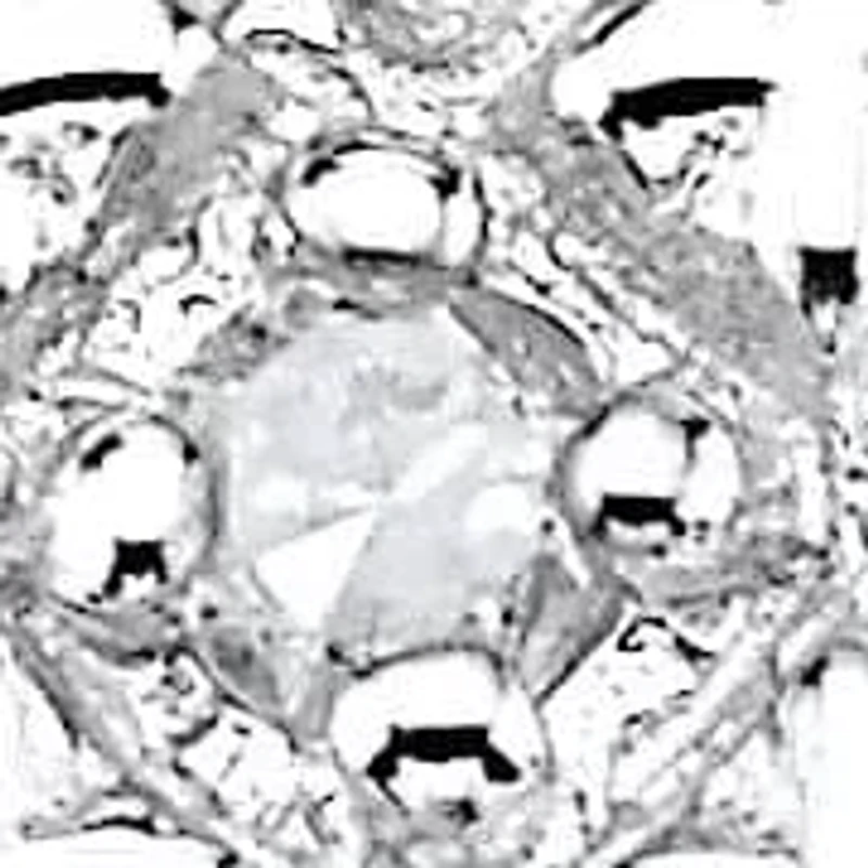 1/10 TCW Round Diamond Pave 10k Yellow Gold Princess-Shaped Ring