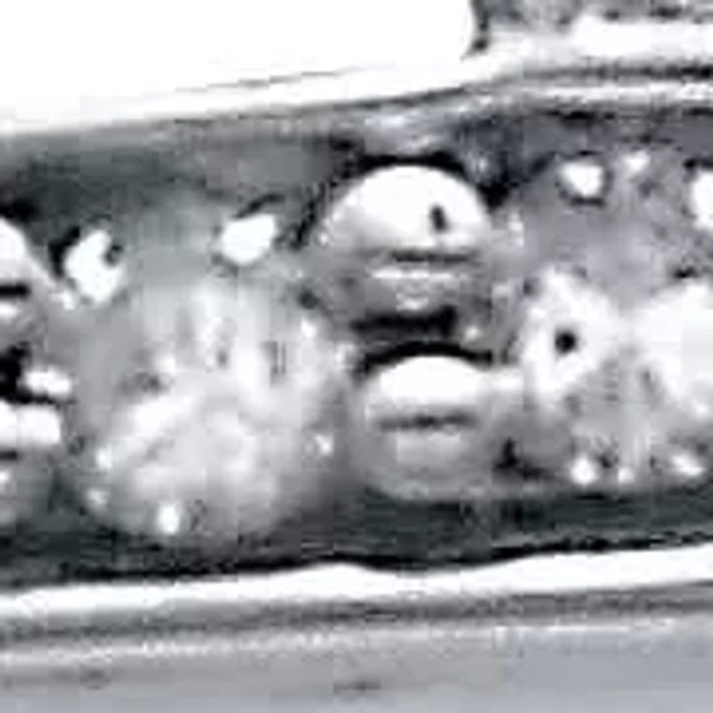 .25 TCW Diamond Sterling Silver Interchanging Heart Promise Ring