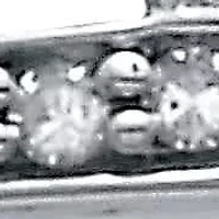 .25 TCW Diamond Sterling Silver Interchanging Heart Promise Ring