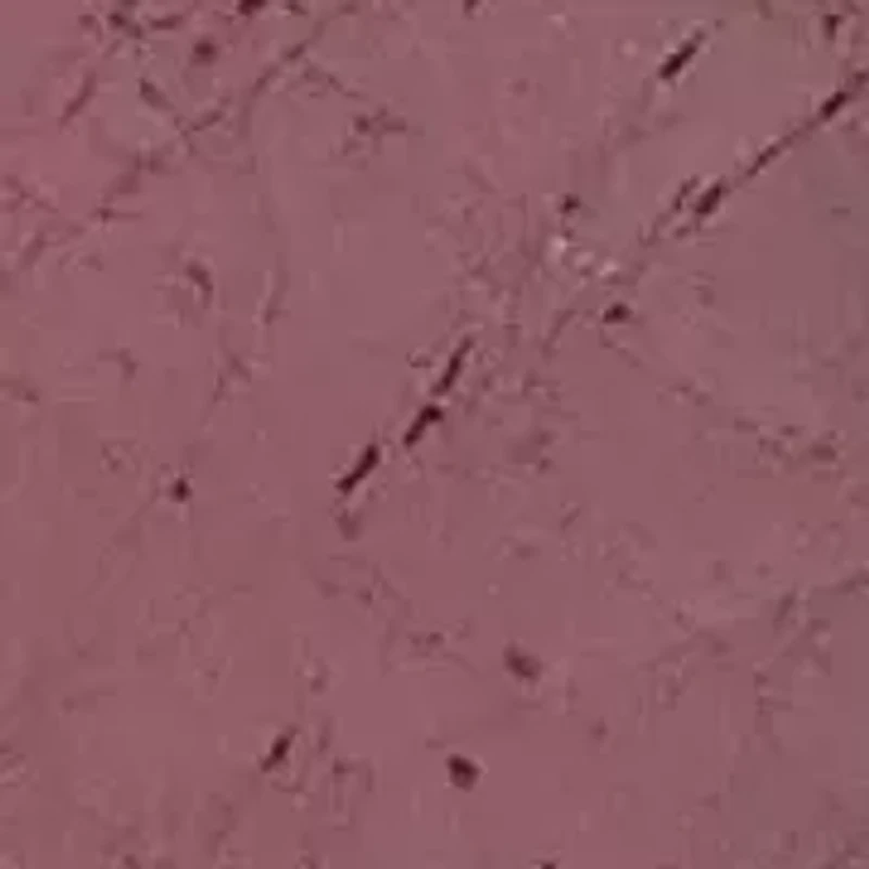 10.18 TCW Genuine Ruby and Black Spinel Ring 14k Gold-plated Sterling Silver