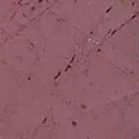 10.18 TCW Genuine Ruby and Black Spinel Ring 14k Gold-plated Sterling Silver