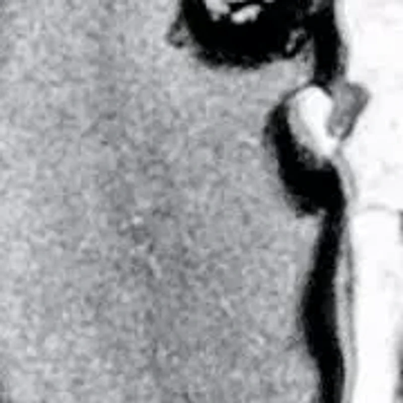 Men's Veteran Signet Ring Stainless Steel