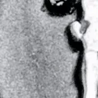 Men's Veteran Signet Ring Stainless Steel