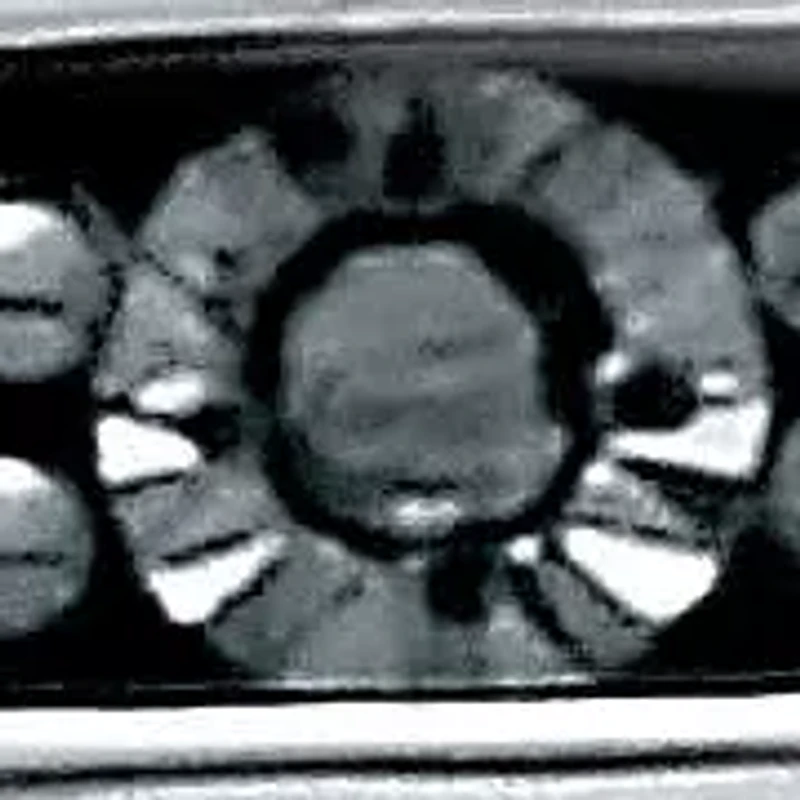 .05 TCW Black Diamond Sterling Silver Ring