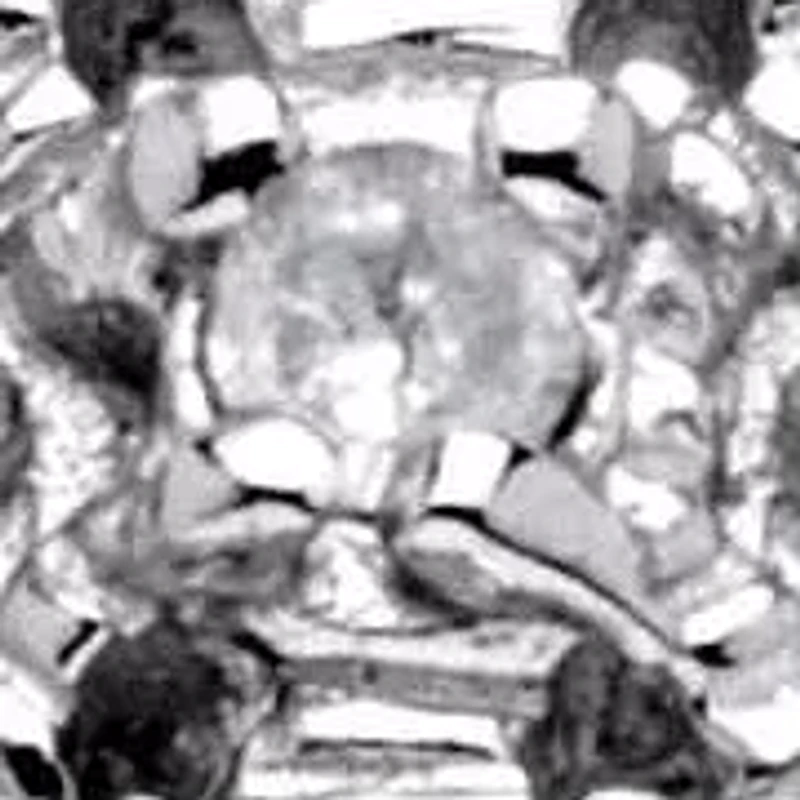 Diamond Accent Platinum-plated Sterling Silver Filigree Ring