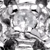 Diamond Accent Platinum-plated Sterling Silver Filigree Ring