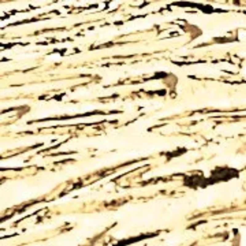 Men's Eagle Pendant and Chain in Yellow Goldtone 24"