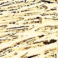 Men's Eagle Pendant and Chain in Yellow Goldtone 24"