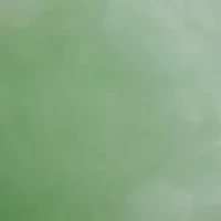 Genuine Jade and Cultured Pearl Shell Pendant in 14k Gold