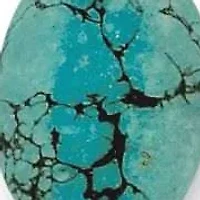 Genuine Turquoise and Freshwater Pearl Silvertone Necklace and Earrings Set