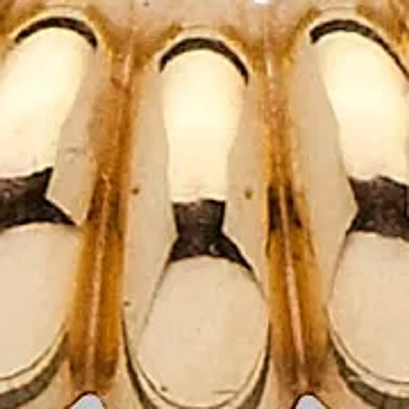 14k Gold Shrimp-Style Ultra-Lightweight Hoop Earrings Nano Diamond Resin Filled