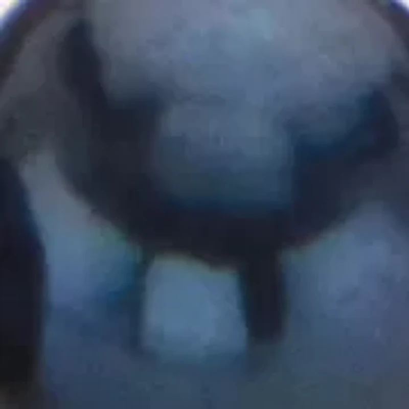 Genuine Black Cultured Pearl Silvertone Earring, Necklace and Bracelet Set 18"