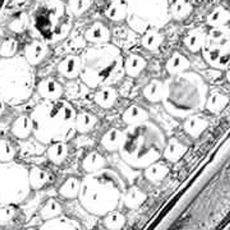 Men's Diamond Accent Silvertone Interlocking-Link Bracelet 8.5"