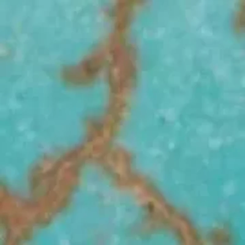 Genuine Turquoise Antiqued Silvertone Heart Pendant Necklace, 34 inches