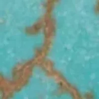 Genuine Turquoise Antiqued Silvertone Heart Pendant Necklace, 34 inches