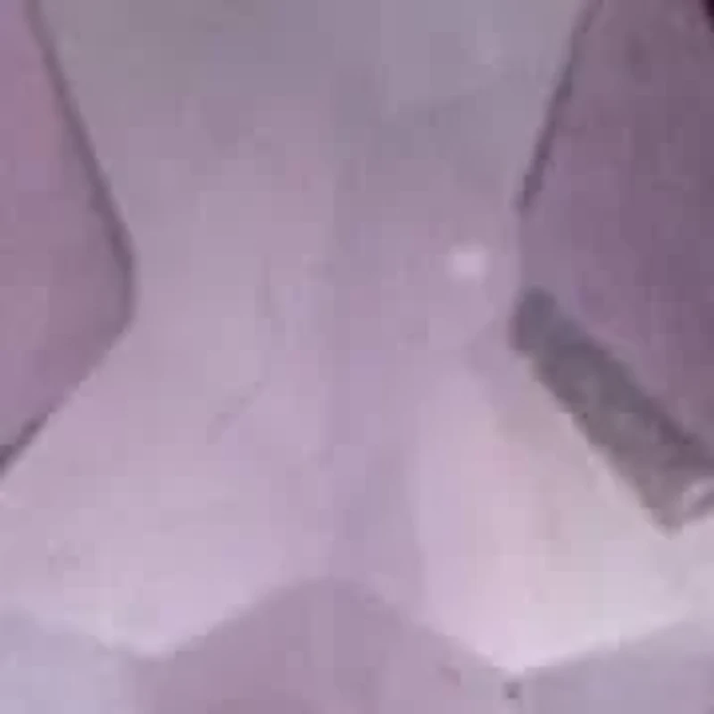 3.53 TCW Pear Cut Genuine Amethyst and Cubic Zirconia Sterling Silver Earrings