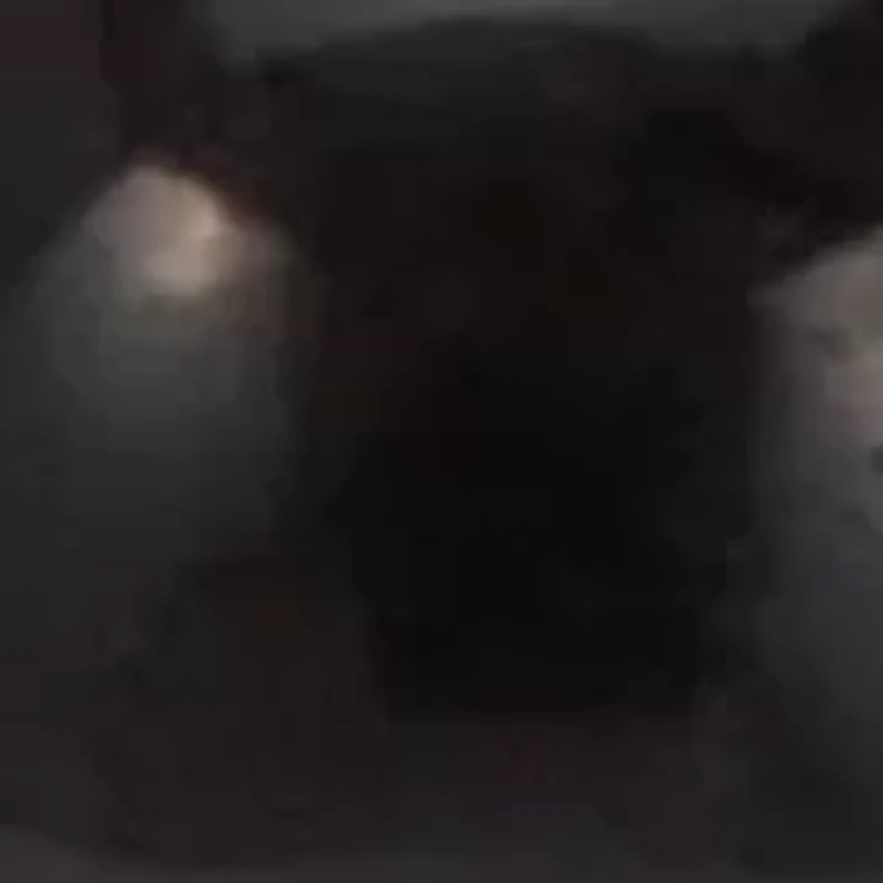 Natural Black Onyx Silvertone Elephant Charm Bangle, 7.5 Inches