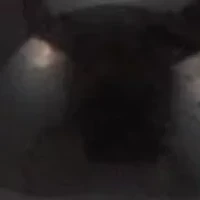 Natural Black Onyx Silvertone Elephant Charm Bangle, 7.5 Inches