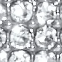 Round Crystal Silvertone Link Bracelet 9-inch