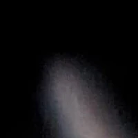 Genuine Black Onyx and Gray Labradorite Goldtone Drop Necklace 34-inch