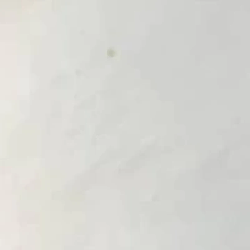 Round Genuine Cultured Freshwater Pearl Silvertone Pendant Necklace 48-inch