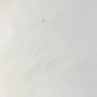 Round Genuine Cultured Freshwater Pearl Silvertone Pendant Necklace 48-inch