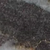 Genuine Grey Agate and Howlite Goldtone Pendant Necklace 34-inch