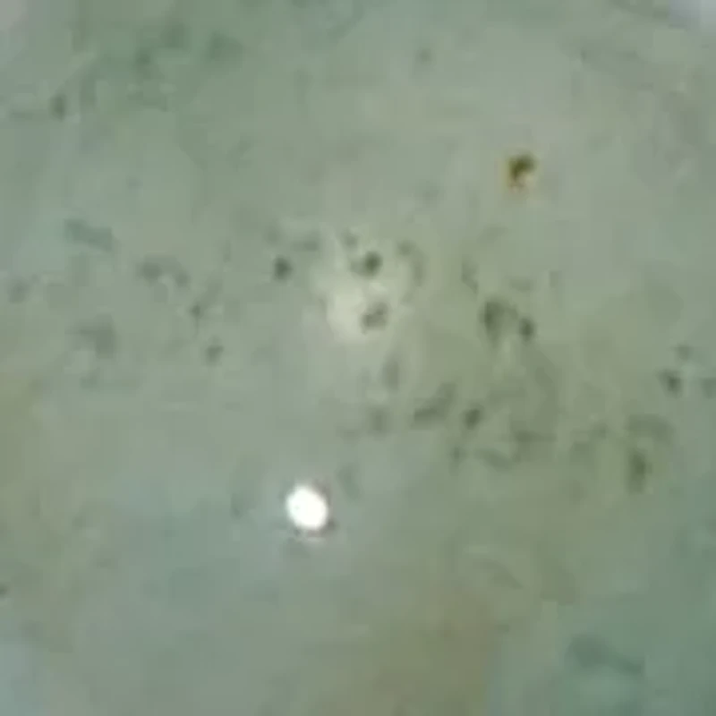 Round Genuine Green Amazonite Silvertone Drop Pendant Necklace 34-inch