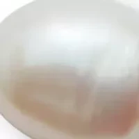 Cultured Freshwater Pearl Gold Ion-Plated Stainless Steel Necklace 18 to 21-inch