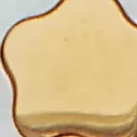 Genuine Mother of Pearl Gold Ion-Plated Stainless Steel Flower Jewelry Set