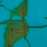 Genuine and Simulated Turquoise Silvertone Necklace Set 36-inch