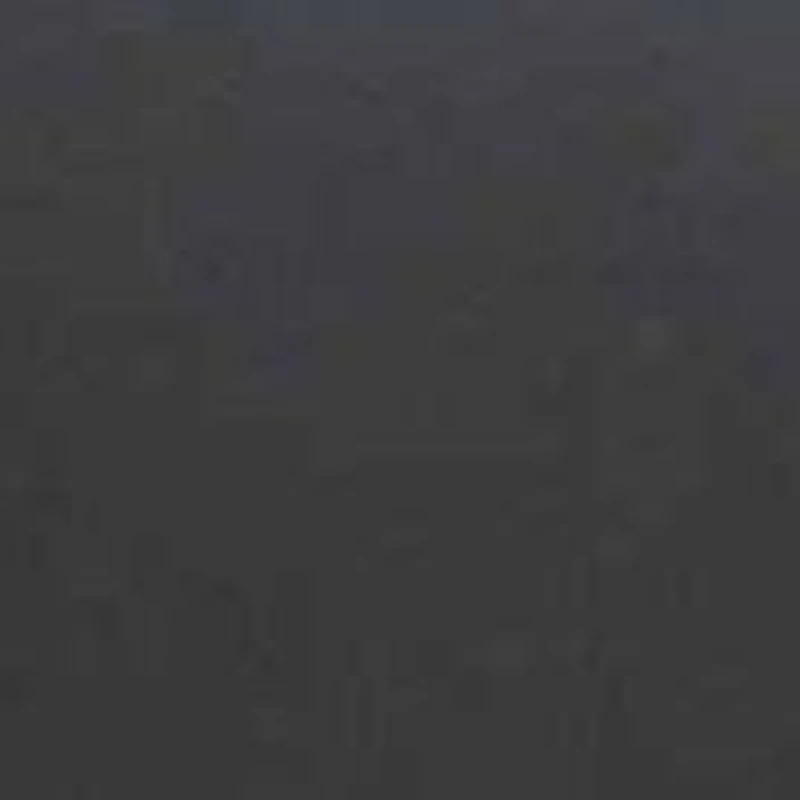 2.58 TCW Oval Genuine Onyx and Cubic Zirconia Gold-Plated Pendant 20 inch