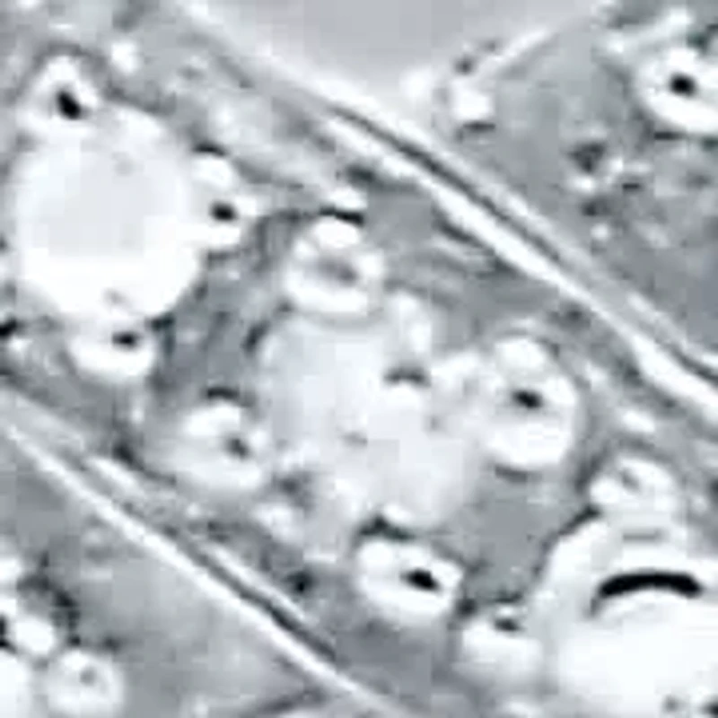 .25 TCW Diamond Sterling Silver Infinity Bracelet 7 Inches