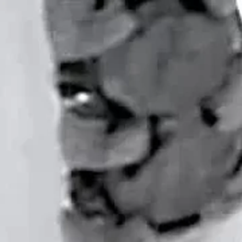 .24 TCW Black Diamond Sterling Silver Hoop Earrings (3/5 inch)