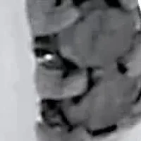 .24 TCW Black Diamond Sterling Silver Hoop Earrings (3/5 inch)