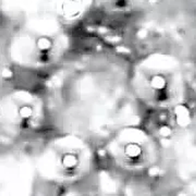 .50 TCW Black and White Diamond Sterling Silver Hoop Earrings (1/2 inch)