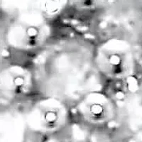 .50 TCW Black and White Diamond Sterling Silver Hoop Earrings (1/2 inch)