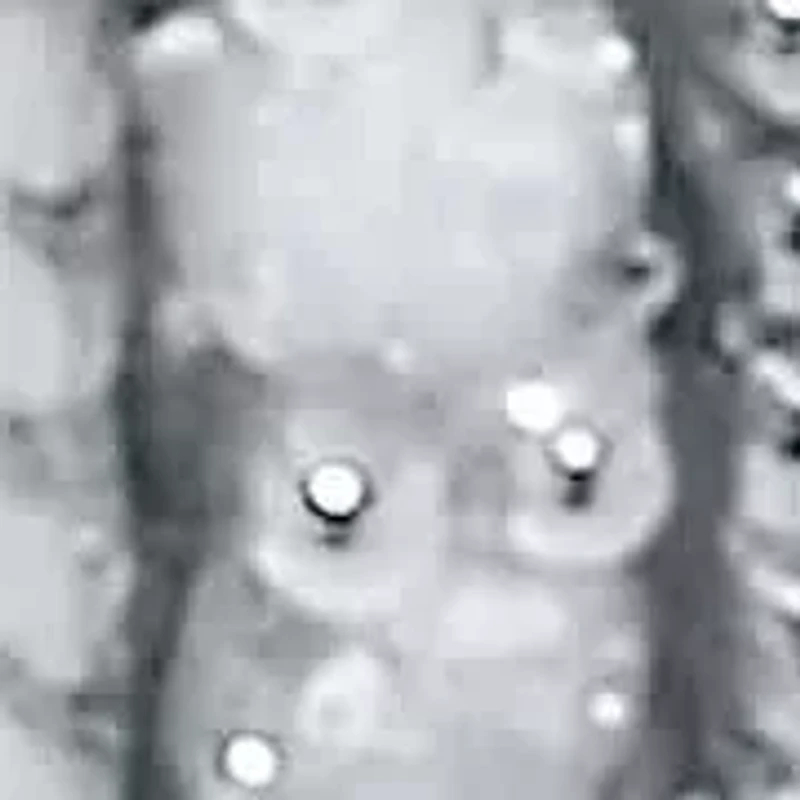 .50 TCW Diamond Sterling Silver Hoop Earrings 7/10 Inch