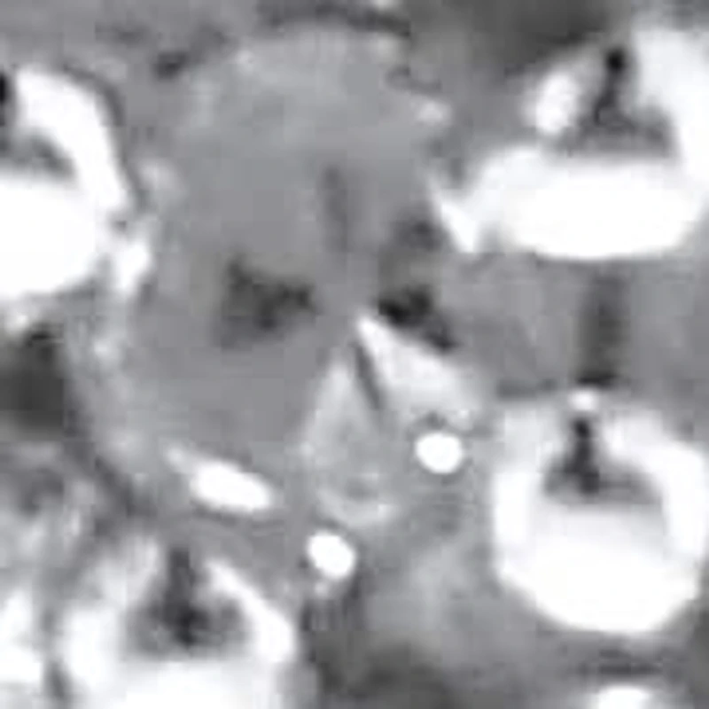 .22 TCW Black and White Diamond Sterling Silver Square Stud Earrings (3/10 inch)