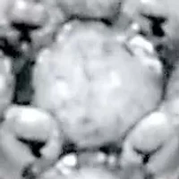 .25 TCW Diamond Sterling Silver Cross Earrings (1/2 inch)