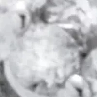 .33 TCW Diamond Sterling Silver Flower Cluster Hoop Earrings (6/10 inch)